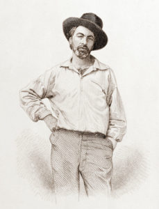 Walt Whitman portrait for Trauma blog post