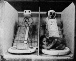 Wire and cloth mother surrogates for rhesus monkey infants, from Harry Harlow’s “Nature of Love” experiments (1958) for Motherhood blog post