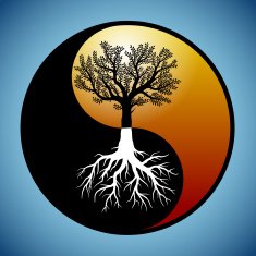 Tree and Its Roots in Yin Yang Symbol for dreams as compensation blog post